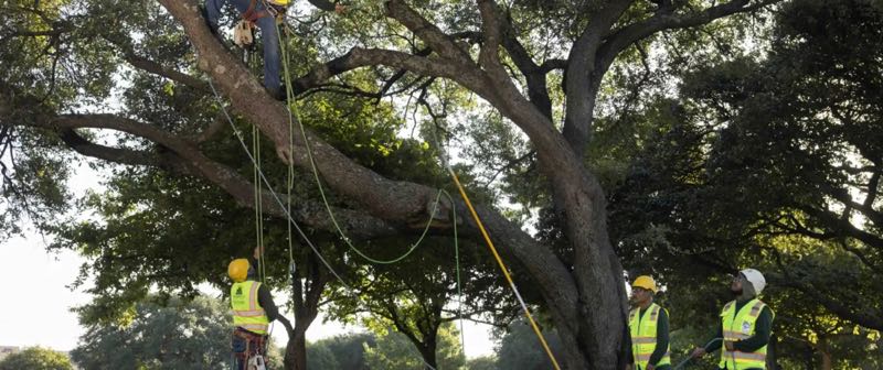 {SERVICE_NAME} project in Irving