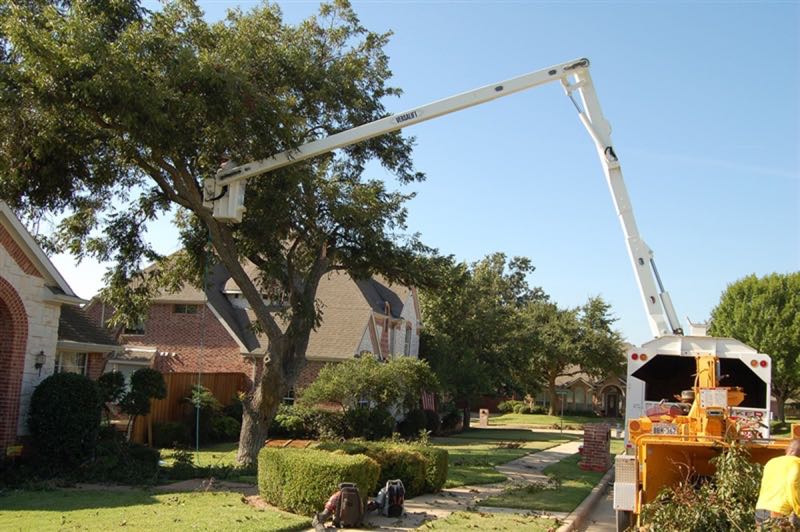 Storm Damage Cleanup in Irving