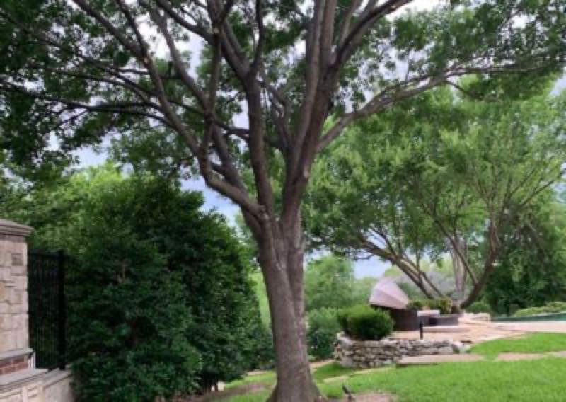 {SERVICE_NAME} project in Irving